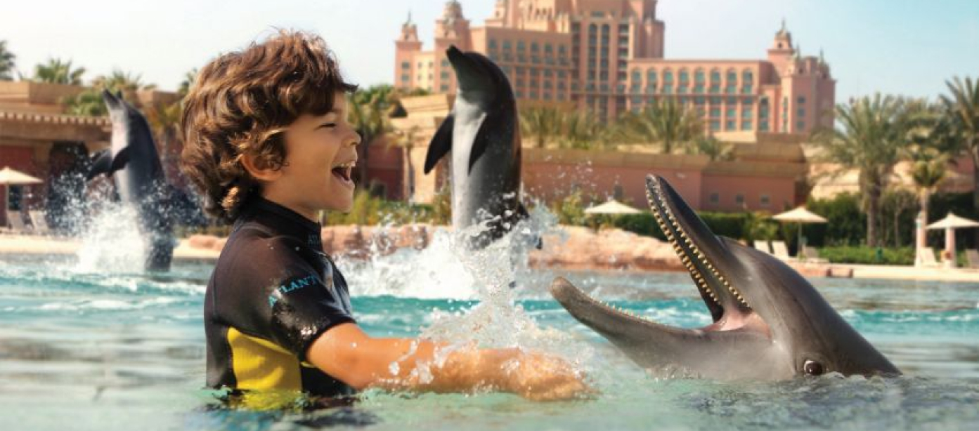 Dolphinarium Blog image